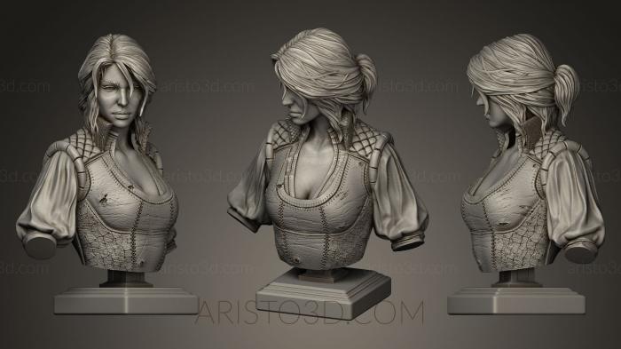 Busts and bas-reliefs of famous people (BUSTC_0105) 3D model for CNC machine